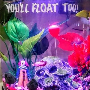 IT Aquarium on hold for babytaco